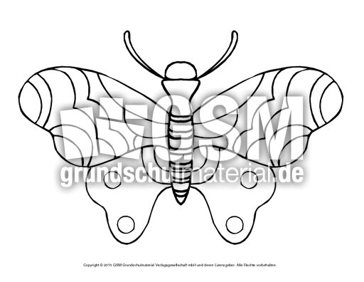 Zum pdf schmetterling ausmalen Schmetterling Ausmalbilder